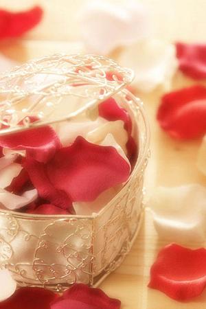 福岡で最高品質の結婚指輪を