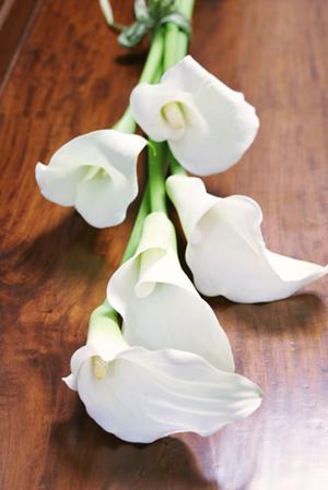 いわき市で婚約指輪を買いたい方へ