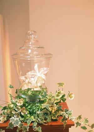 立川で結婚相手を見つけられる結婚相談所